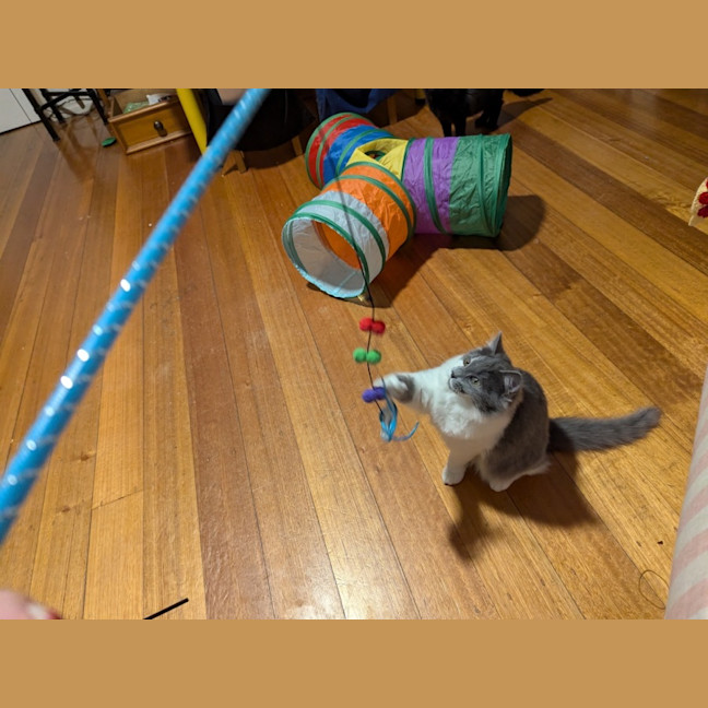 Photo of Kit Kat