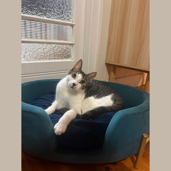 Photo of Esmeralda