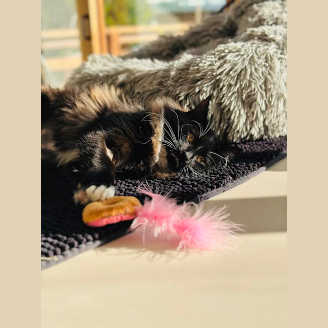 Photo of Mimi
