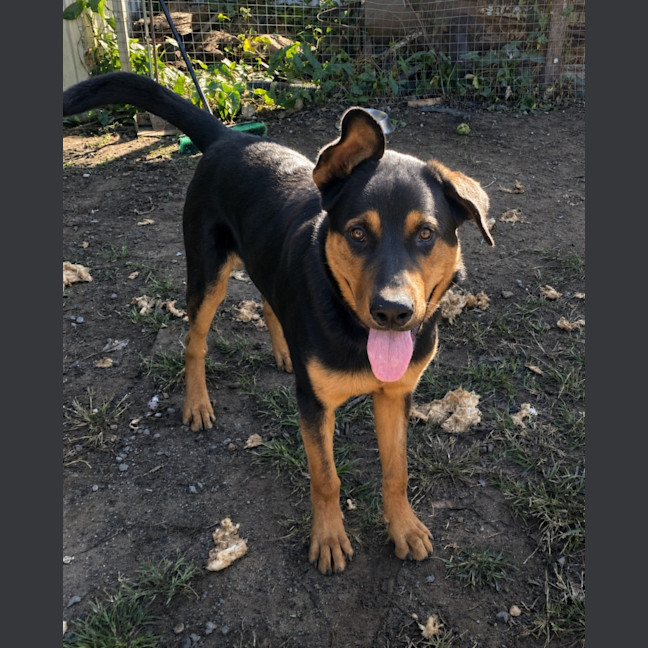 Photo of Bundee