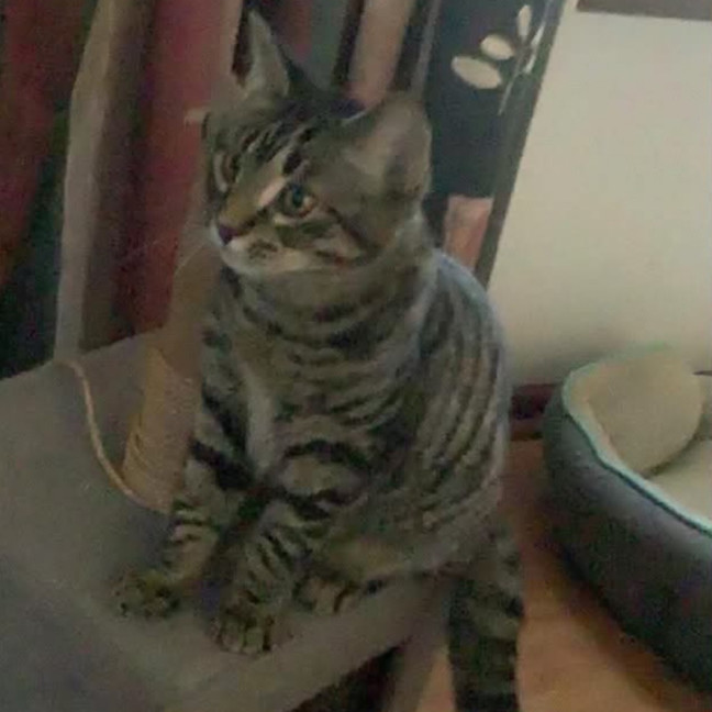 Photo of Louie