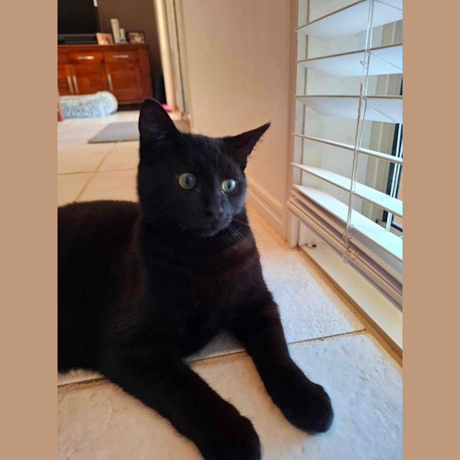 Photo of Terrence