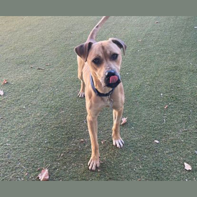 Photo of Mike Wheeler