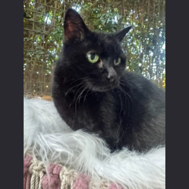 Photo of Molly