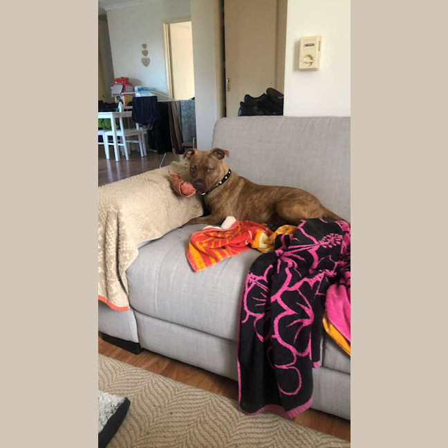 Photo of Milly