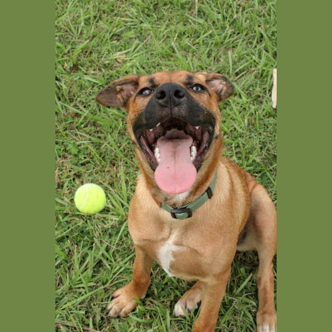 Photo of Lucy