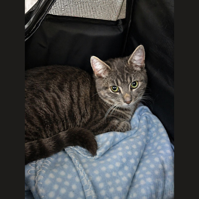 Photo of Winifred