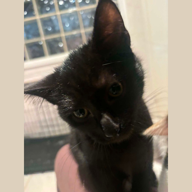 Photo of Spooky