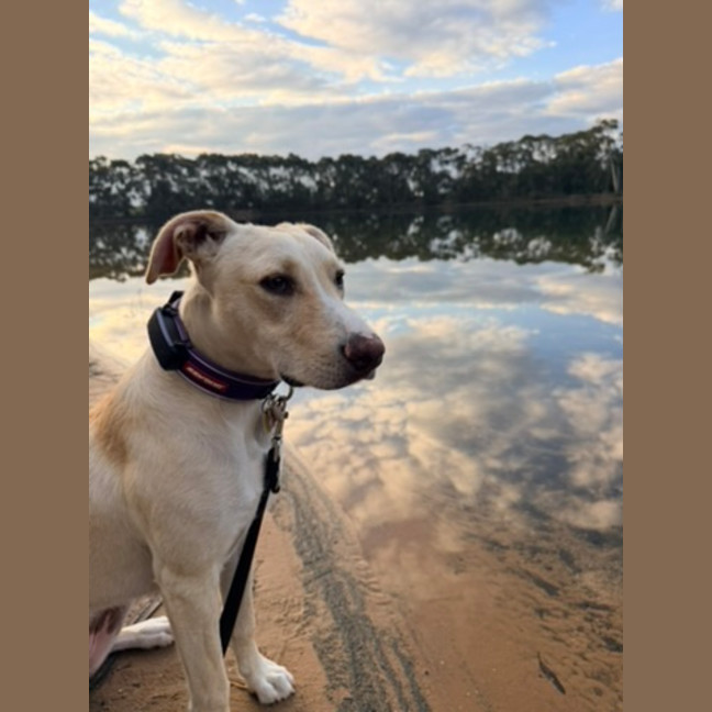 Photo of Dolly Pawton