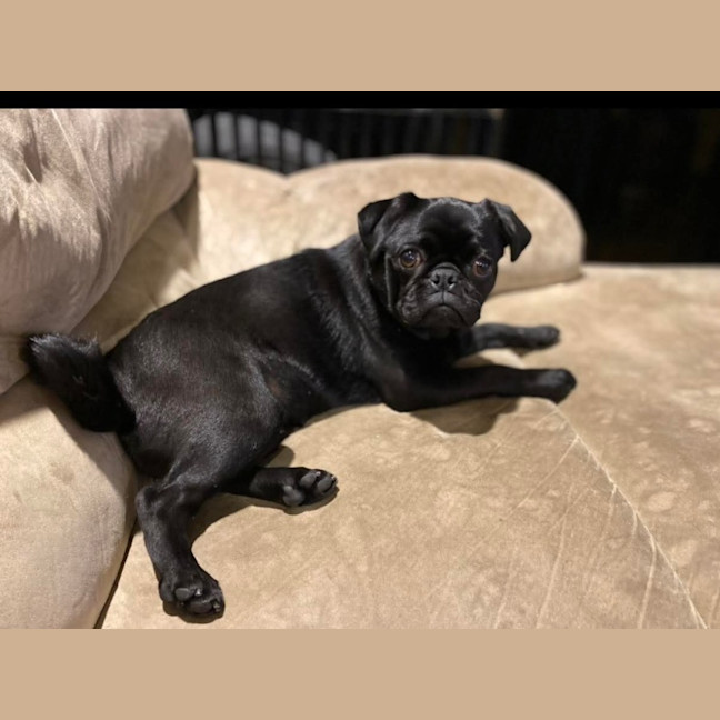 Photo of Sage 