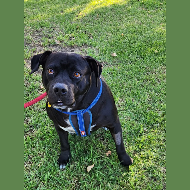 Photo of Tank