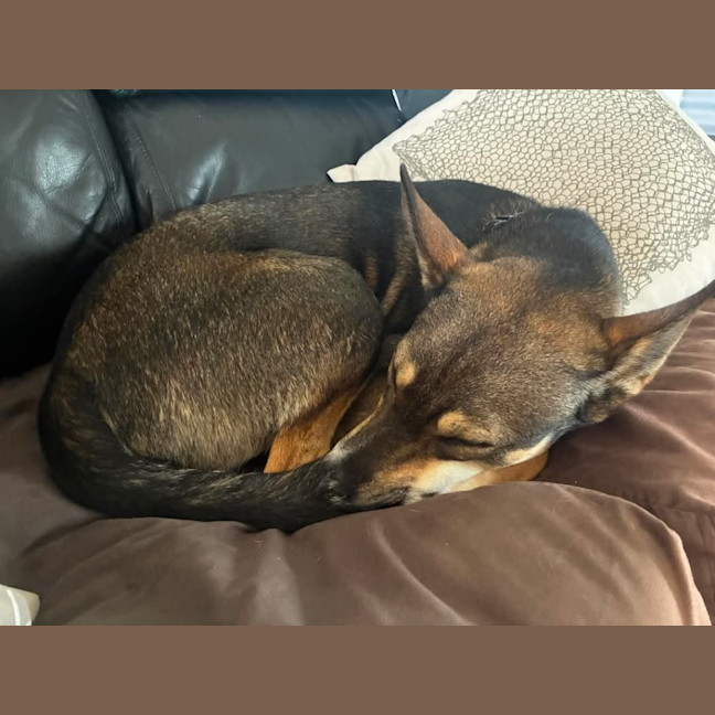 Photo of Max