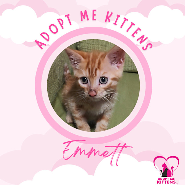 Photo of Emmett