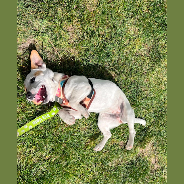 Photo of Missy