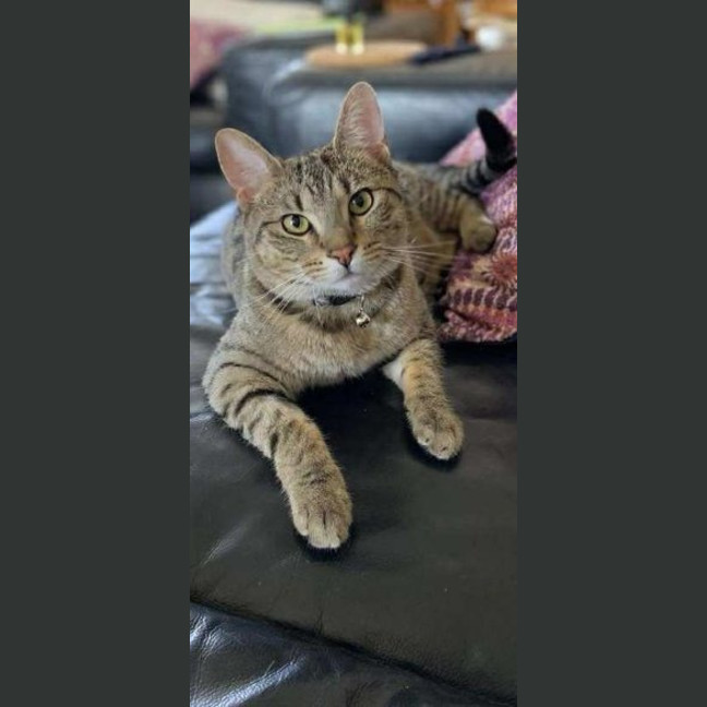 Photo of Archie