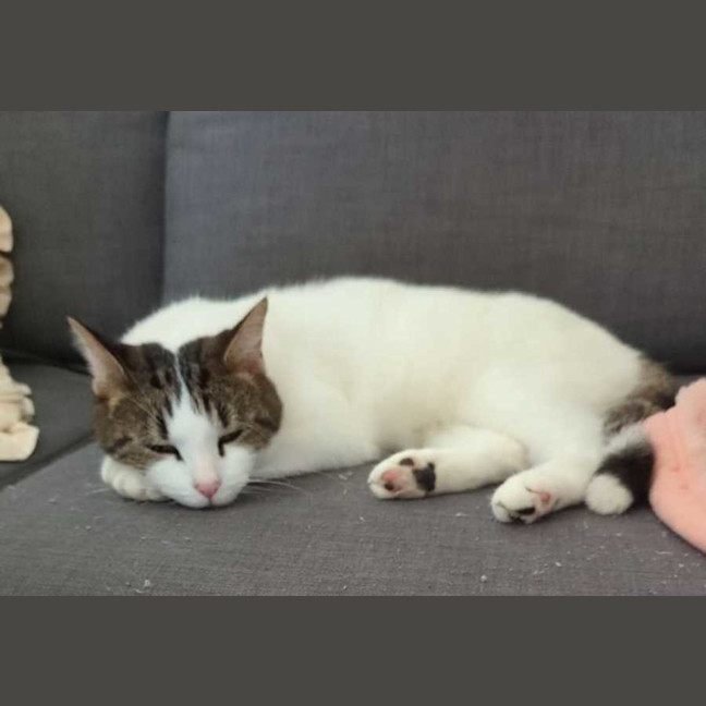 Photo of Mazzy