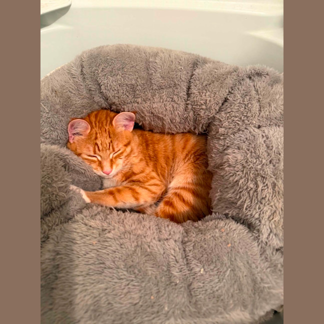 Photo of Jaffa