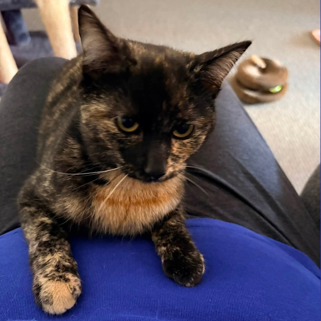 Photo of Rosie