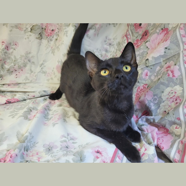 Photo of Pretzel 🥨