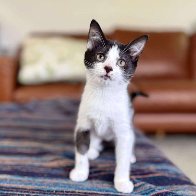 Photo of Marra   Meet Me At Vets On Parker