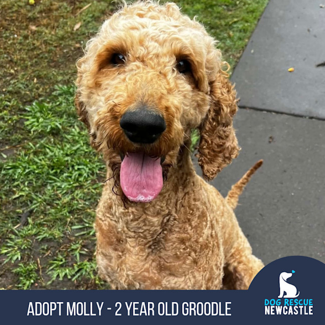 Photo of Molly