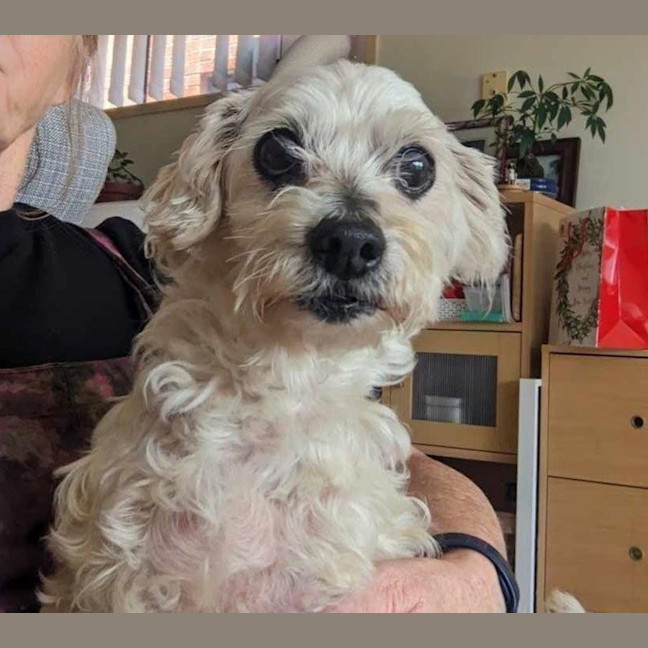 Photo of Simon Babbington