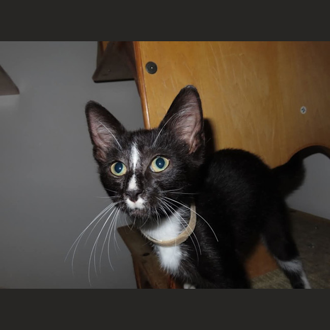 Photo of Crackers    K30