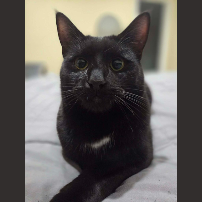 Photo of Orlando