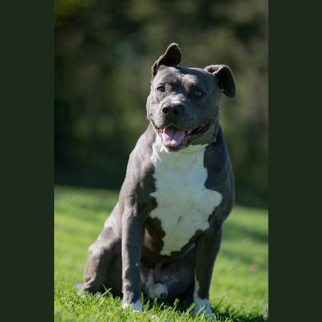 Photo of Ghost