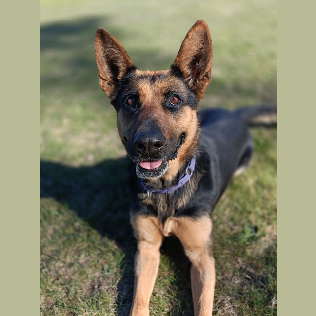 Photo of Luna