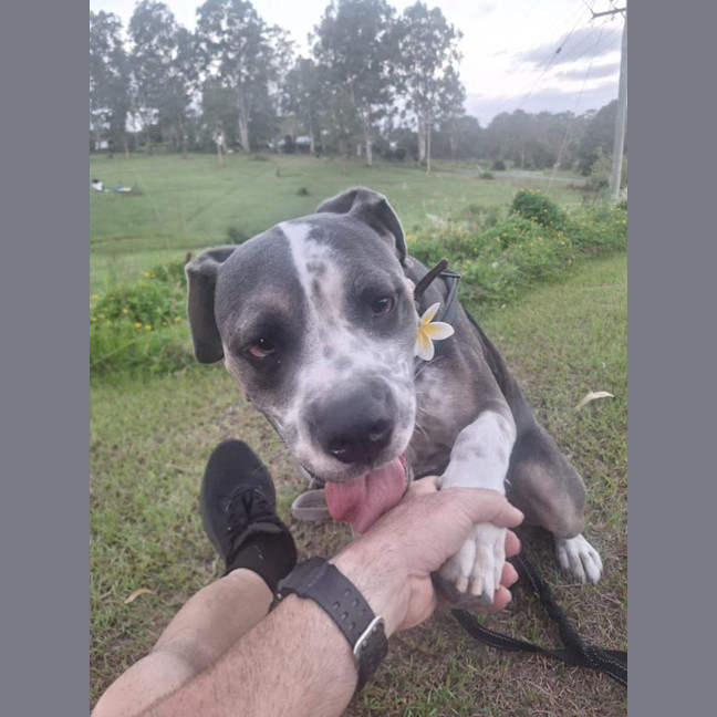 Photo of Buddy Two