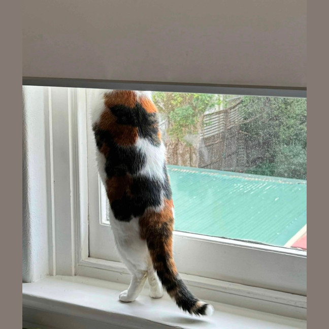 Photo of Mila 