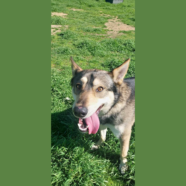 Photo of Coyotee Pete