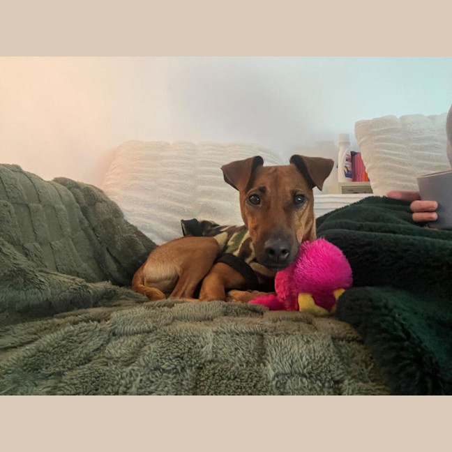 Photo of Missy Peggotty