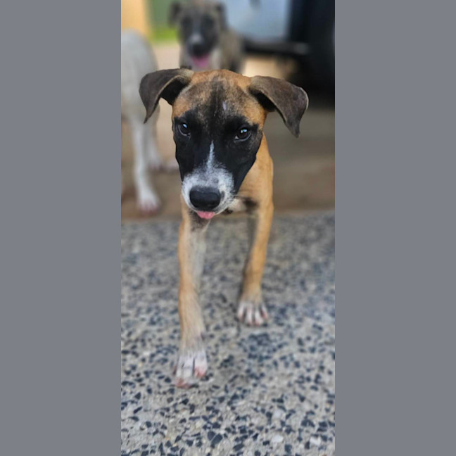 Photo of Eli