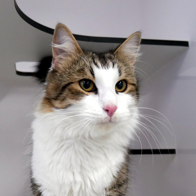 Photo of Iggy Sta013815