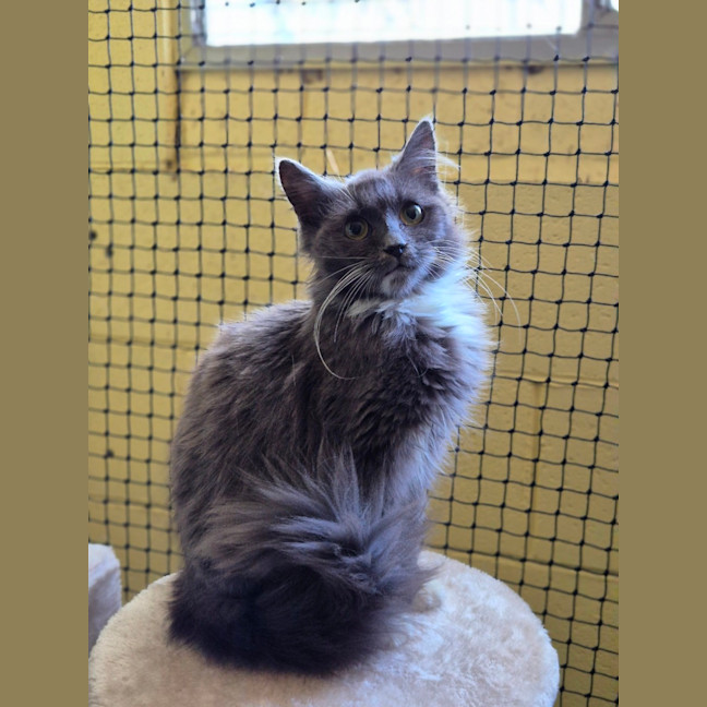 Photo of Molly