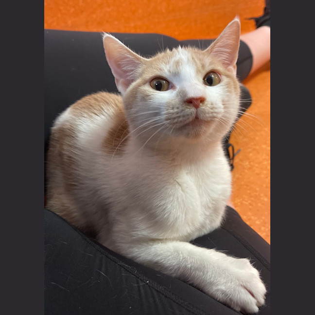 Photo of Simon