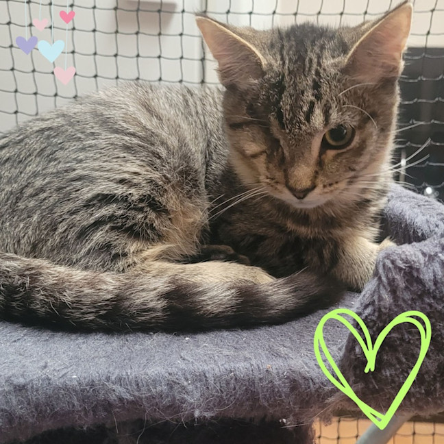 Photo of 💖 Chloe & Charlie 💖