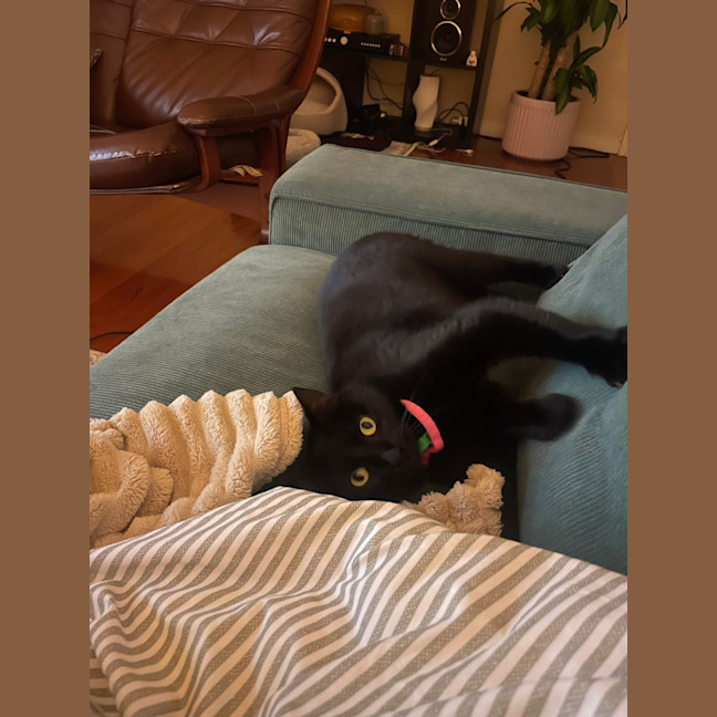 Photo of Moni
