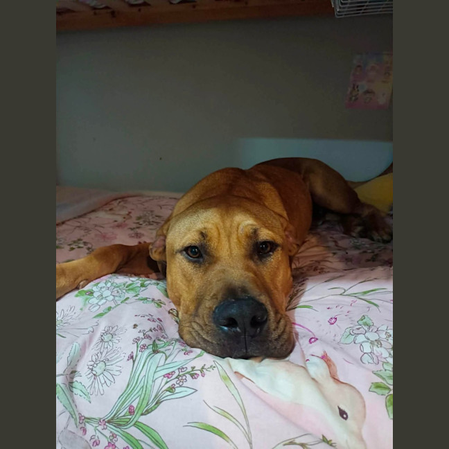 Photo of Gus