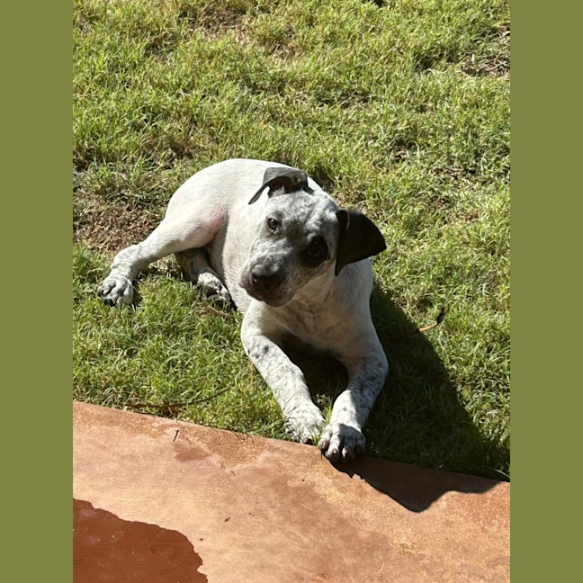 Photo of Bertha