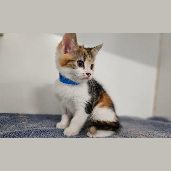 Photo of Penelope
