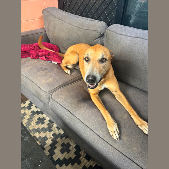 Photo of Delilah