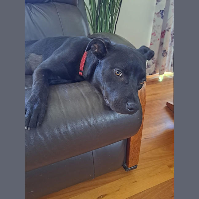 Photo of Zara