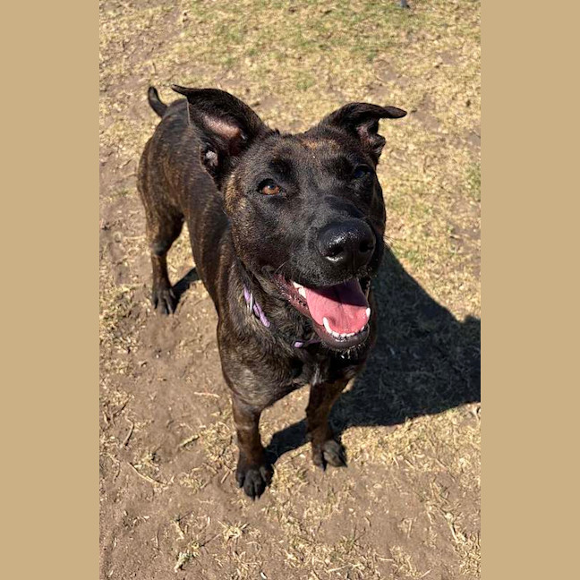 Photo of Lucy