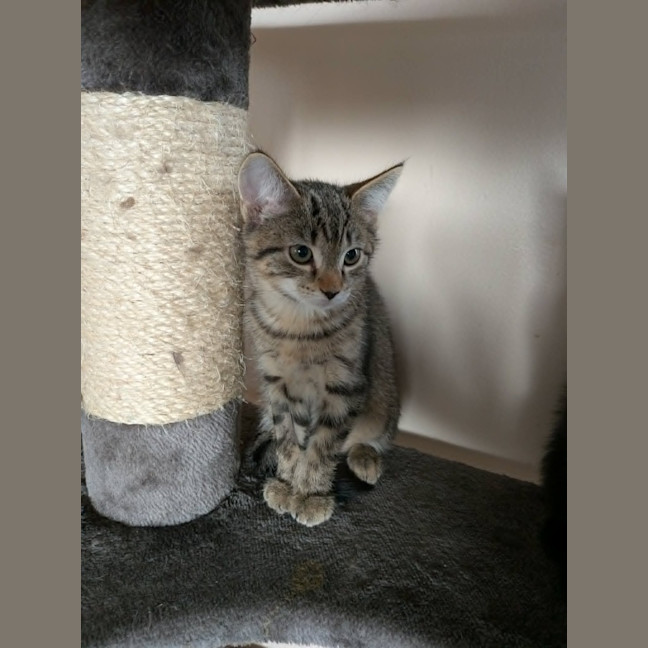 Photo of Artemis