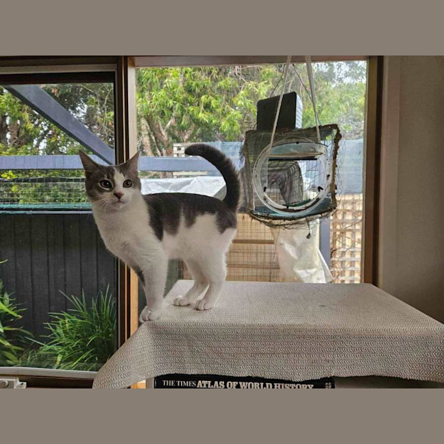 Photo of 🤎 Douglas 🤎