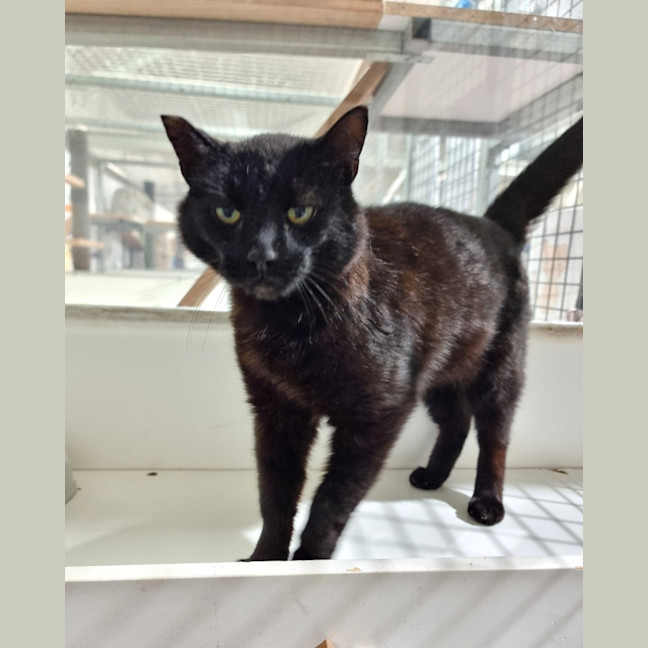 Photo of Mr Steal Yo' Girl