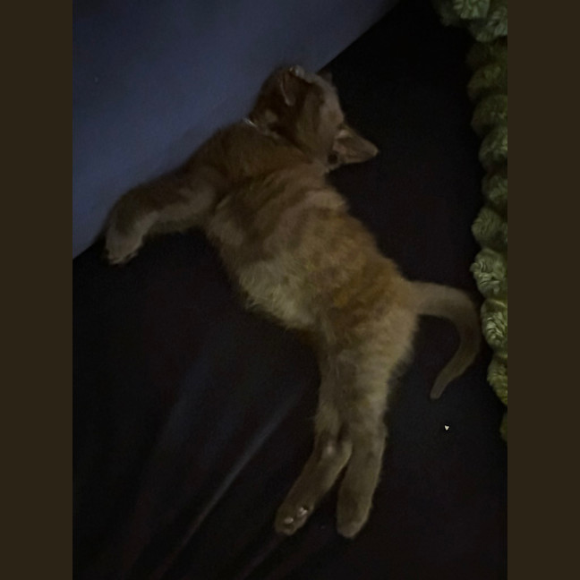 Photo of Billy